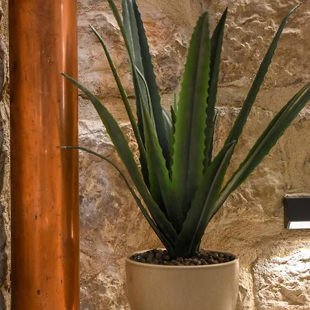 Historic Stone Loft - Zf Apartment *